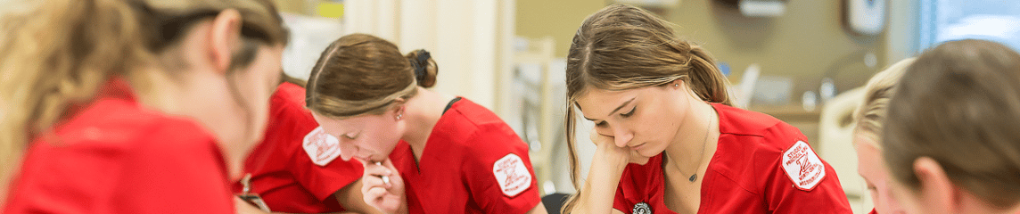 Nursing students studying