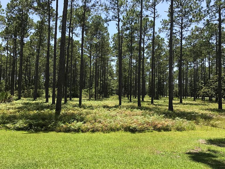 8556 Preservation Drive,Panama City Beach,FL,US preview