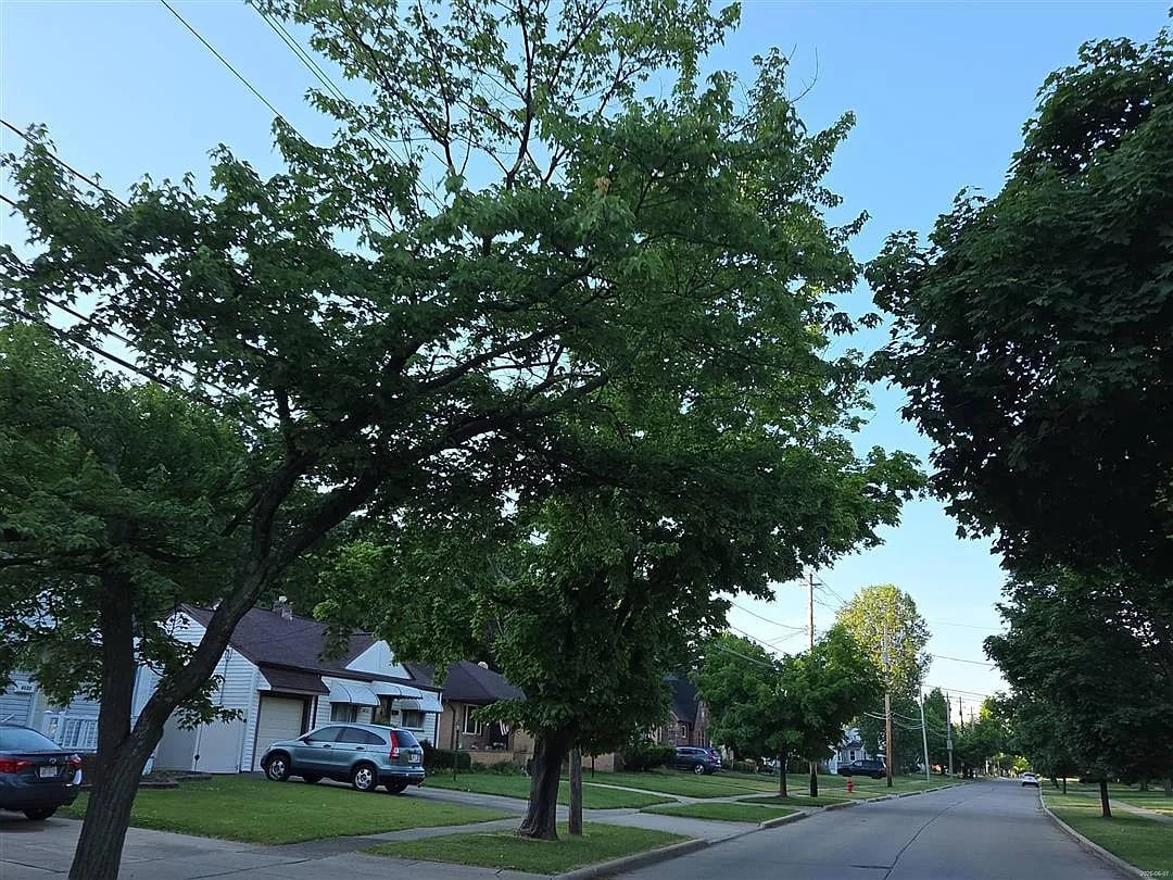6181 Denison Boulevard,Parma Heights,OH,United States preview