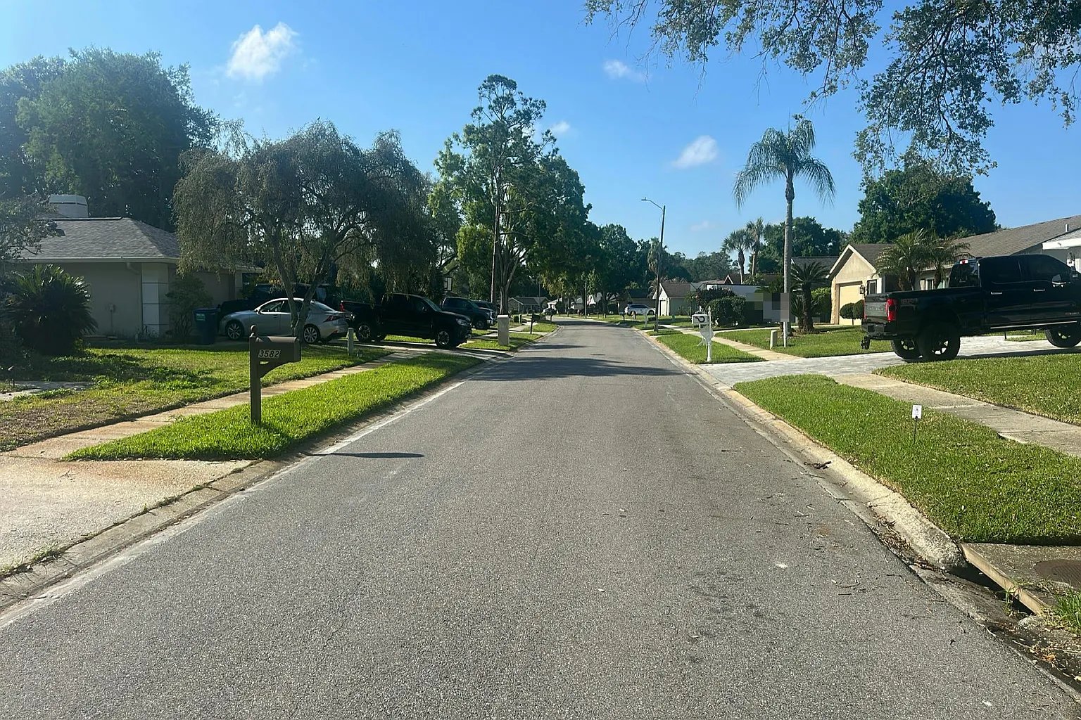 3582 Fairway Forest Drive,Palm Harbor,FL,United States preview