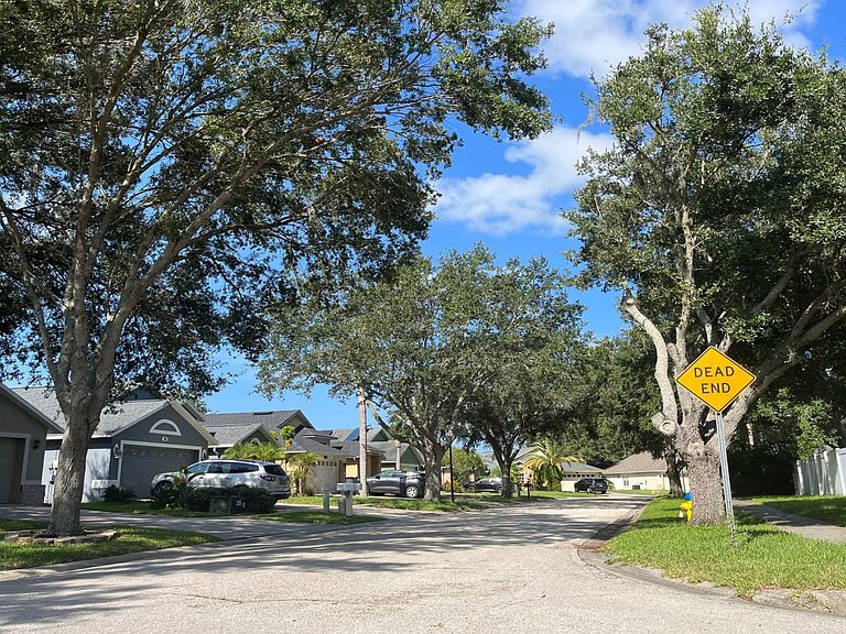6934 Jamestown Manor Drive,Riverview,FL,United States preview