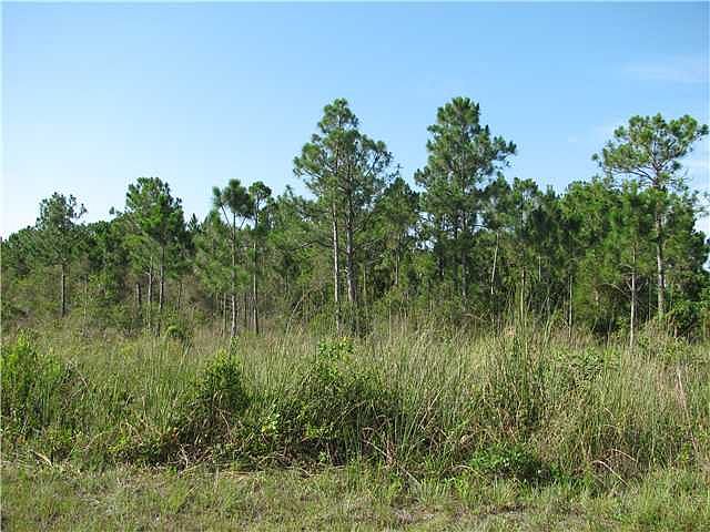 16892 Hamlin Boulevard,The Acreage,FL,United States preview