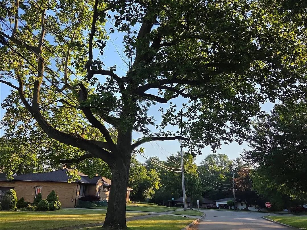 6181 Denison Boulevard,Parma Heights,OH,United States preview