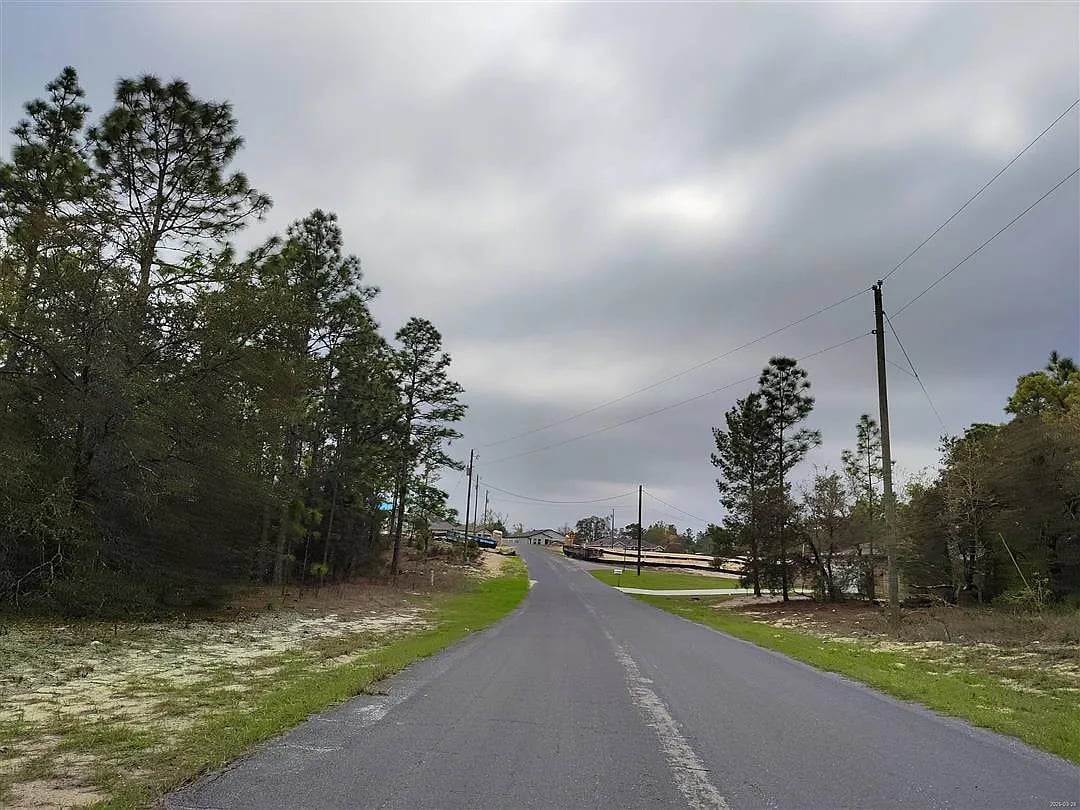 10288 North Spaulding Drive,Citrus Springs,FL,United States preview