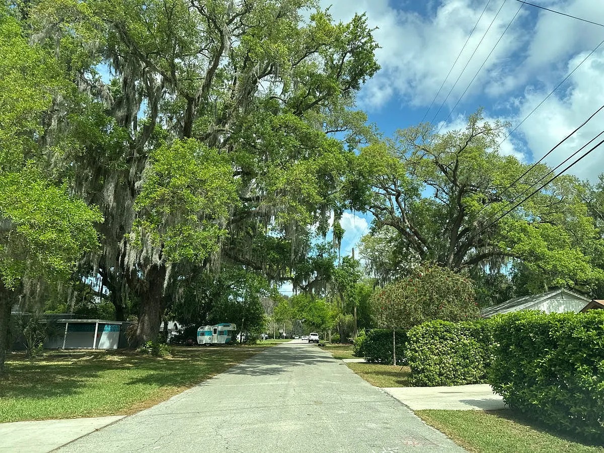 1353 Live Oak Lane,Jacksonville,FL,US preview
