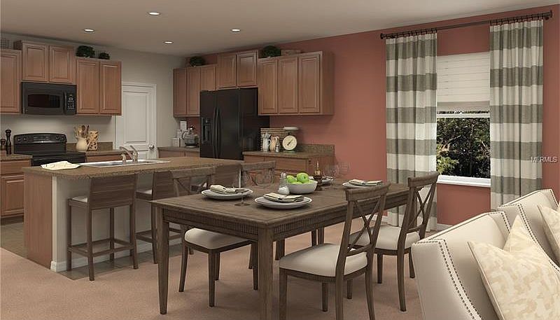 1508 Redmond Brook Lane,Ruskin,FL,United States preview