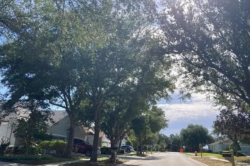 7454 Surrey Pines Drive,Apollo Beach,FL,United States preview