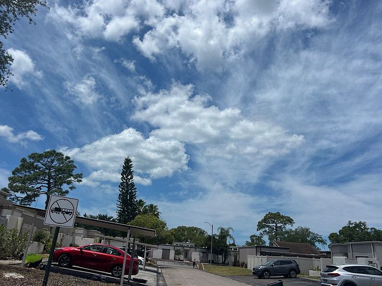 4248 Cedar Grove Street,Holiday,FL,United States preview