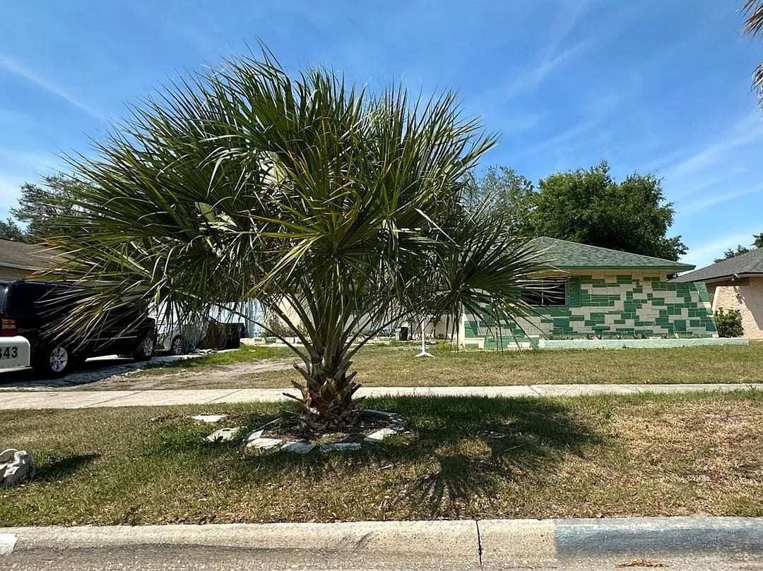 4843 Norwalk Place,Orlando,FL,United States preview