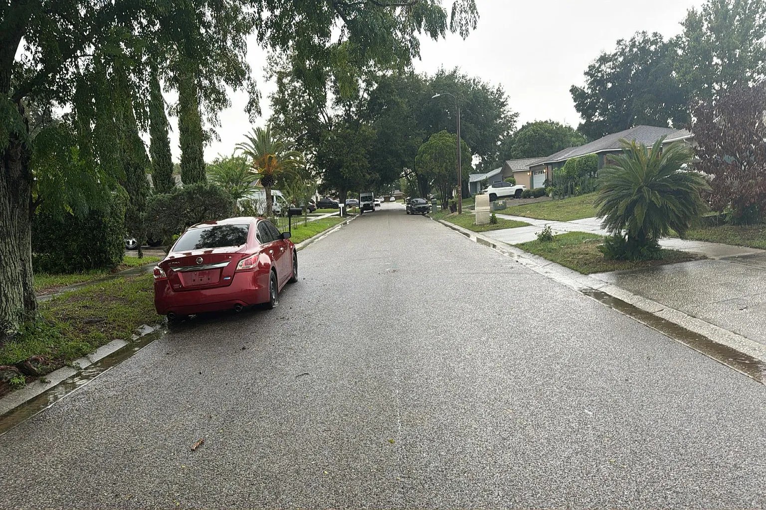 7226 Jonquil Drive,Orlando,FL,United States preview