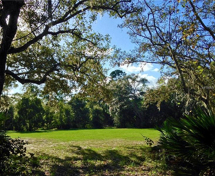 316 Raccoon Street,Lake Mary,FL,United States preview