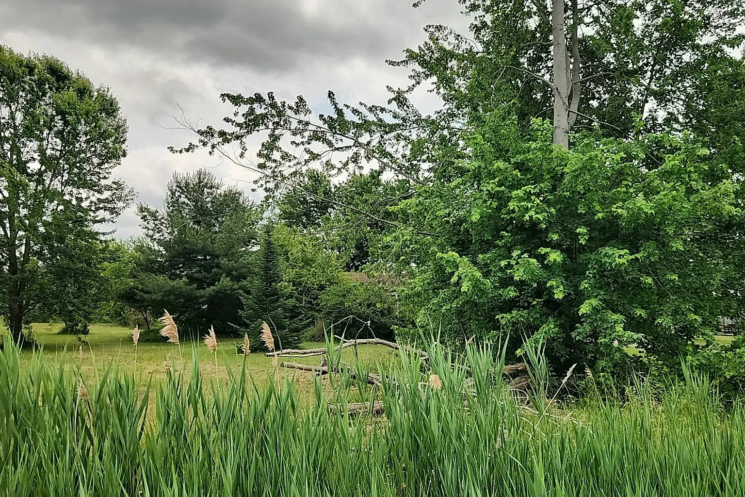7983 Lafayette Road,Lodi,OH,United States preview