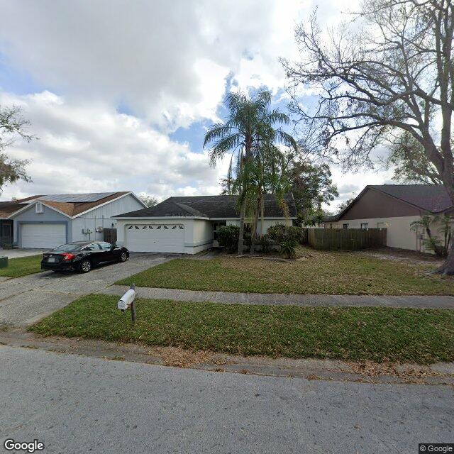 11308 Blackbark Dr,Riverview,FL,United States preview