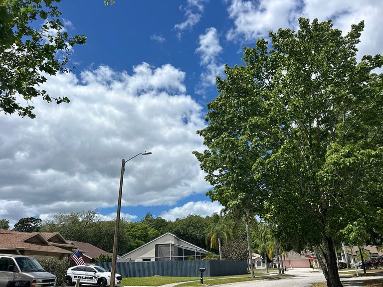 7142 Arboretum Way,New Port Richey,FL,United States preview