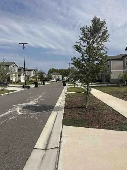 12638 Maple Bonsai Drive,Riverview,FL,United States preview