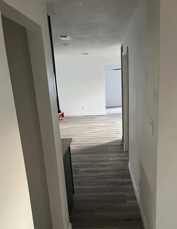 1006 Kenmore Drive,Brandon,FL,United States preview