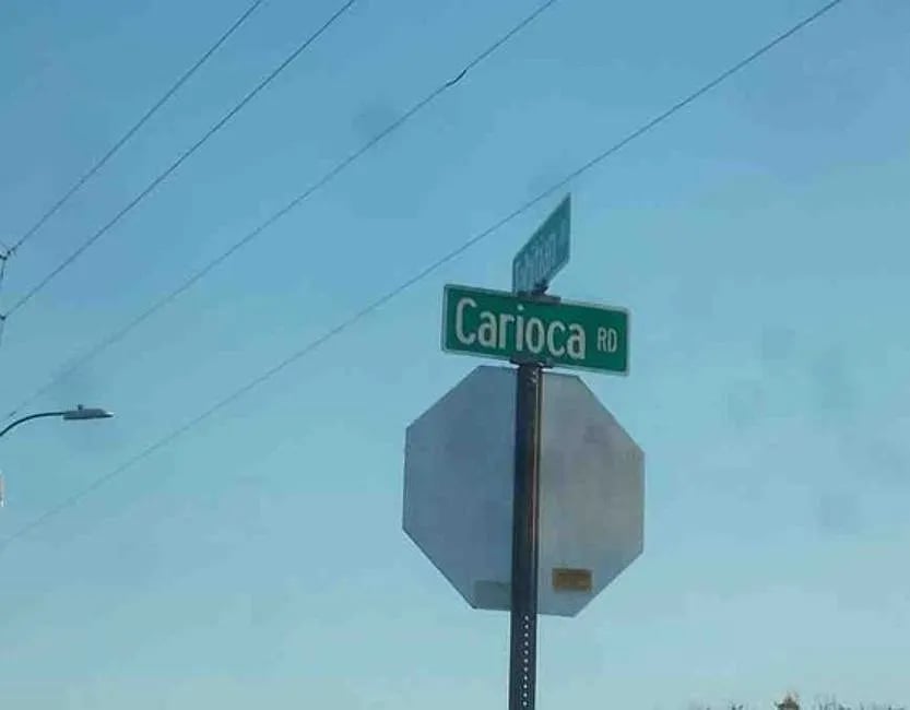 3923 Carioca Road,Holiday,FL,United States preview