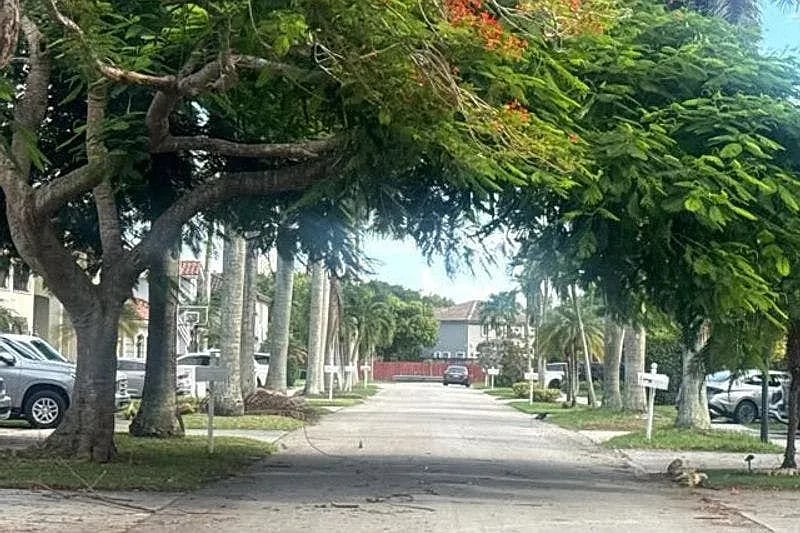 6732 Southwest 166th Court,Miami,FL,United States preview