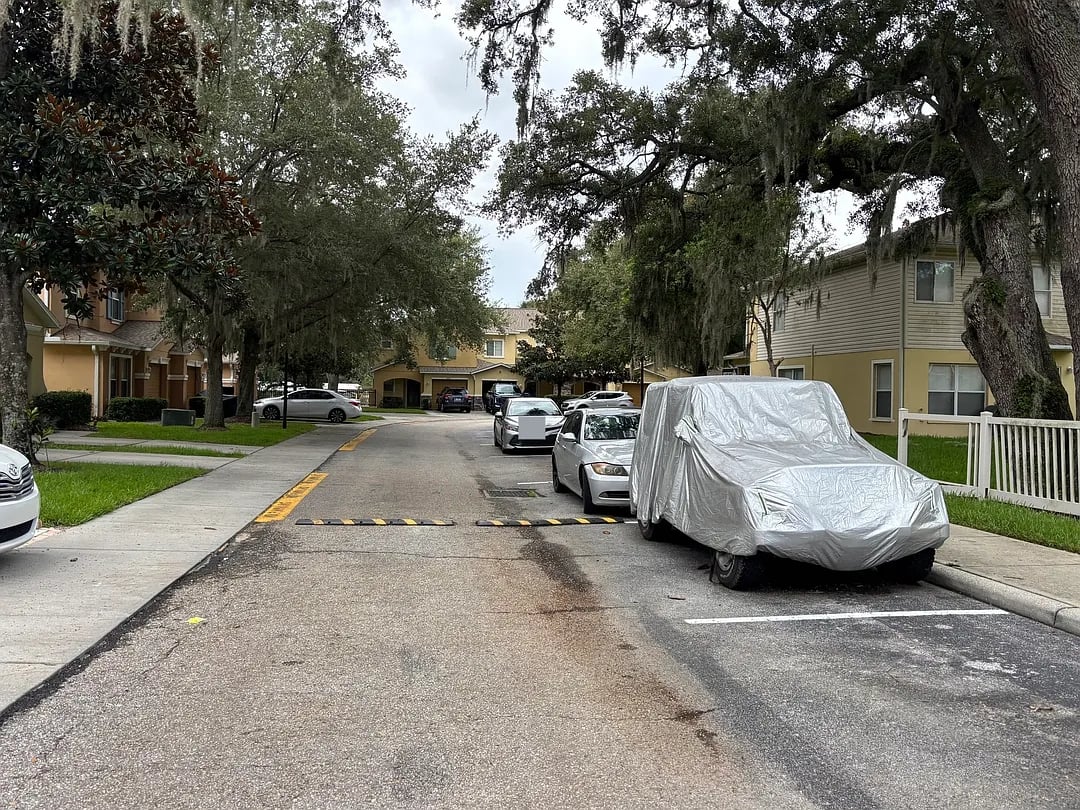 4619 Limerick Drive,Tampa,FL,United States preview