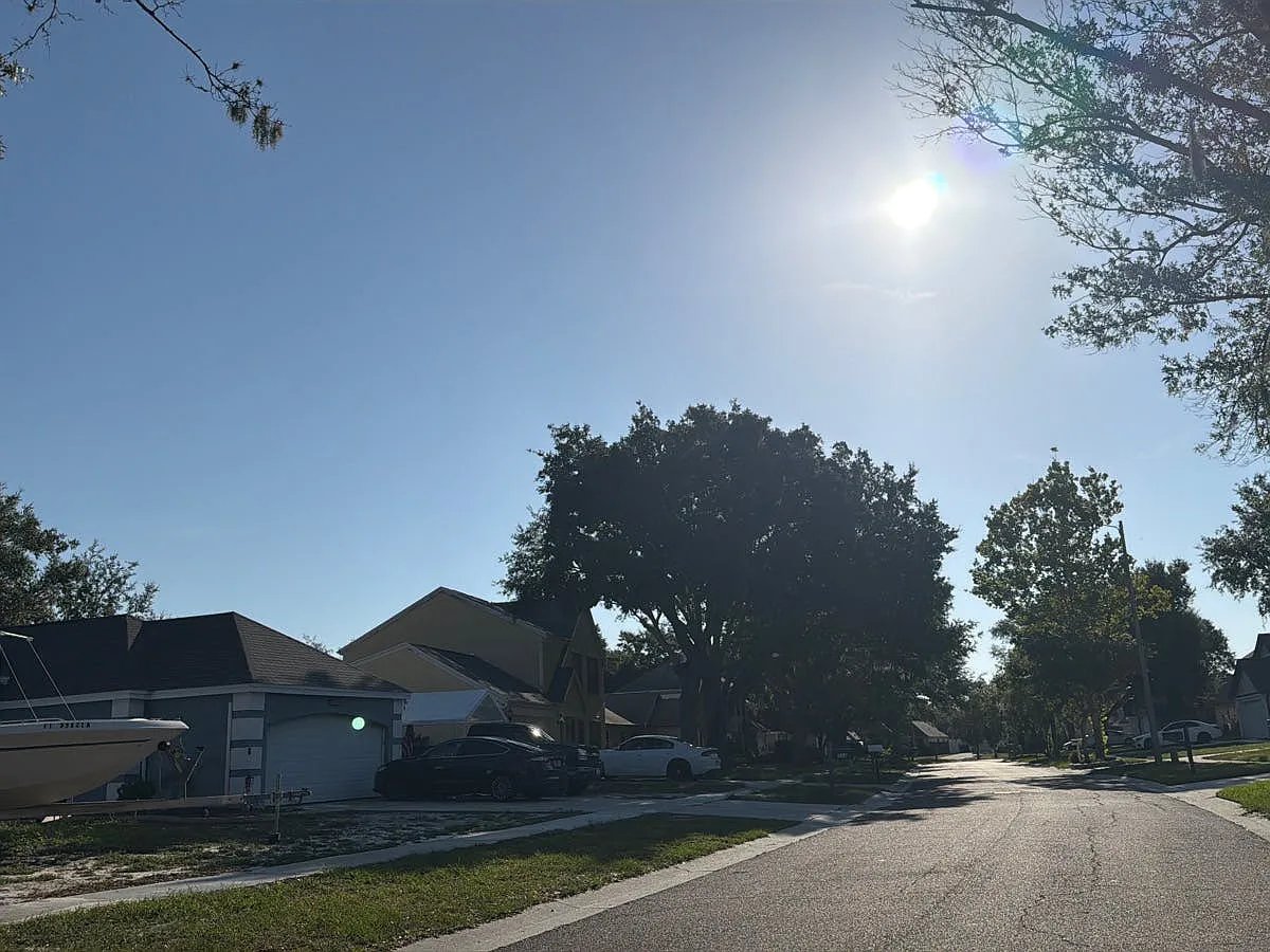 514 Sweetleaf Drive,Brandon,FL,United States preview