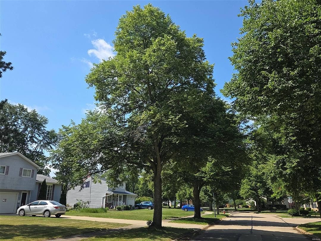 4511 Camellia Lane,North Olmsted,OH,United States preview