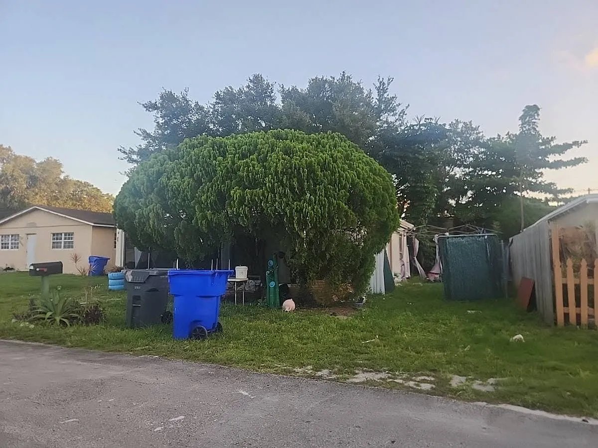 6109 Lincoln Street,Hollywood,FL,United States preview