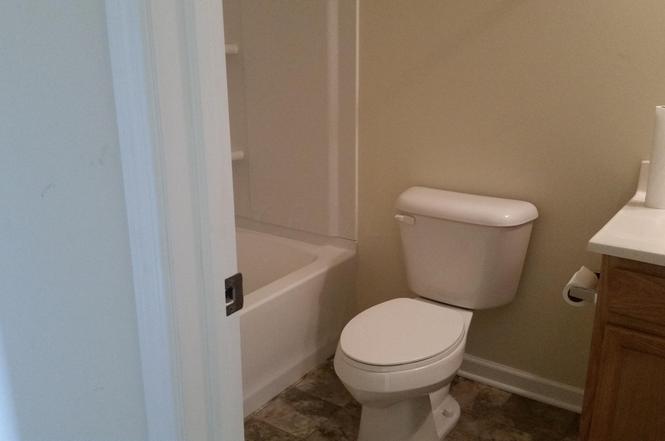 4234 Bowman Meadow Drive,Canal Winchester,OH,United States preview