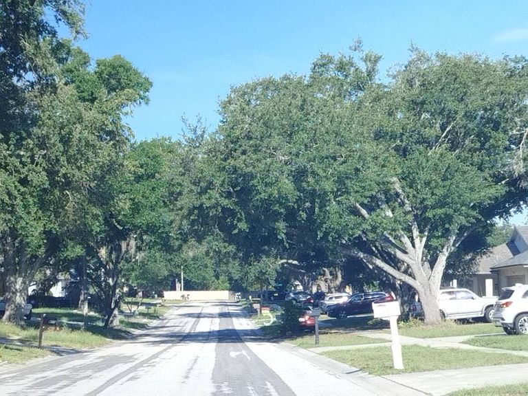 1050 Malletwood Drive,Brandon,FL,United States preview
