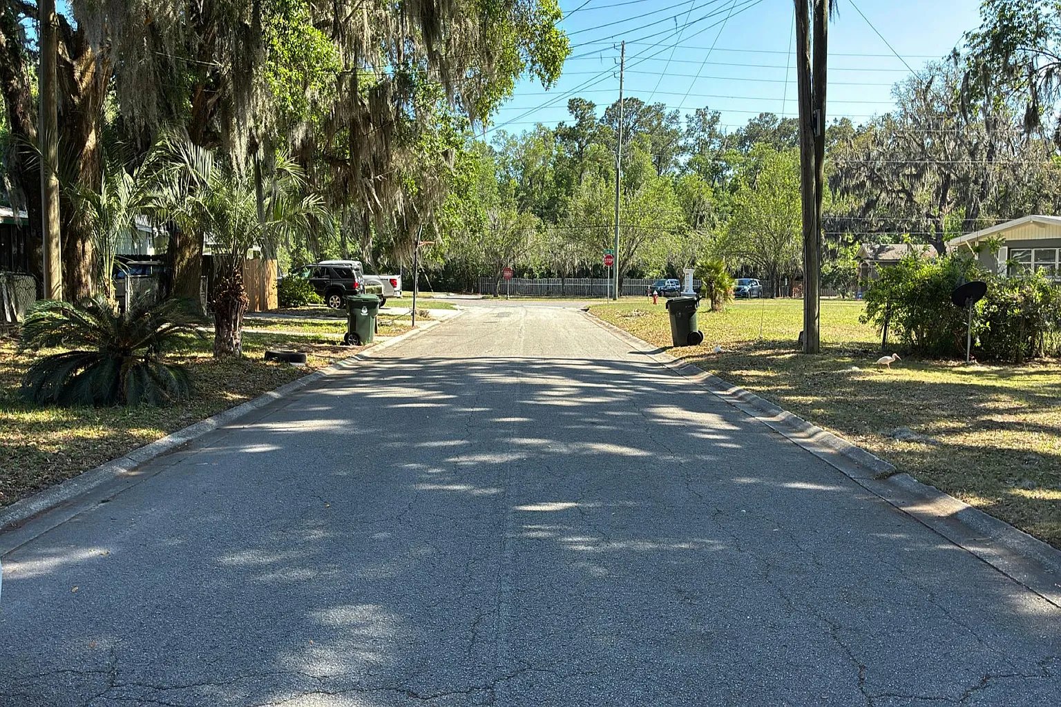 417 South Pine Avenue,Green Cove Springs,FL,United States preview