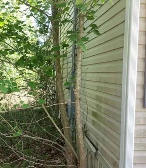 11418 1st Street,Youngstown,FL,United States preview