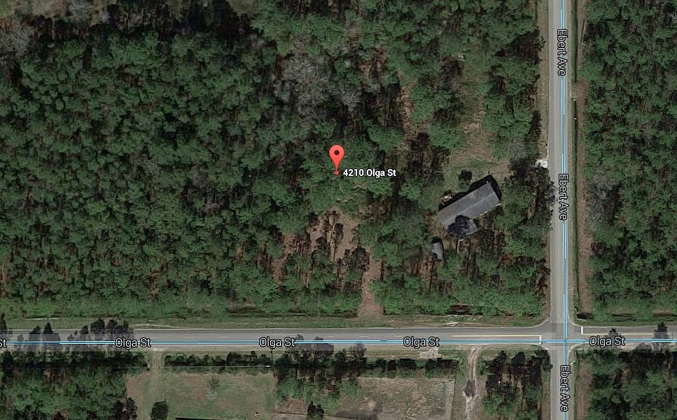 4210 Olga Street,Hastings,FL,United States preview