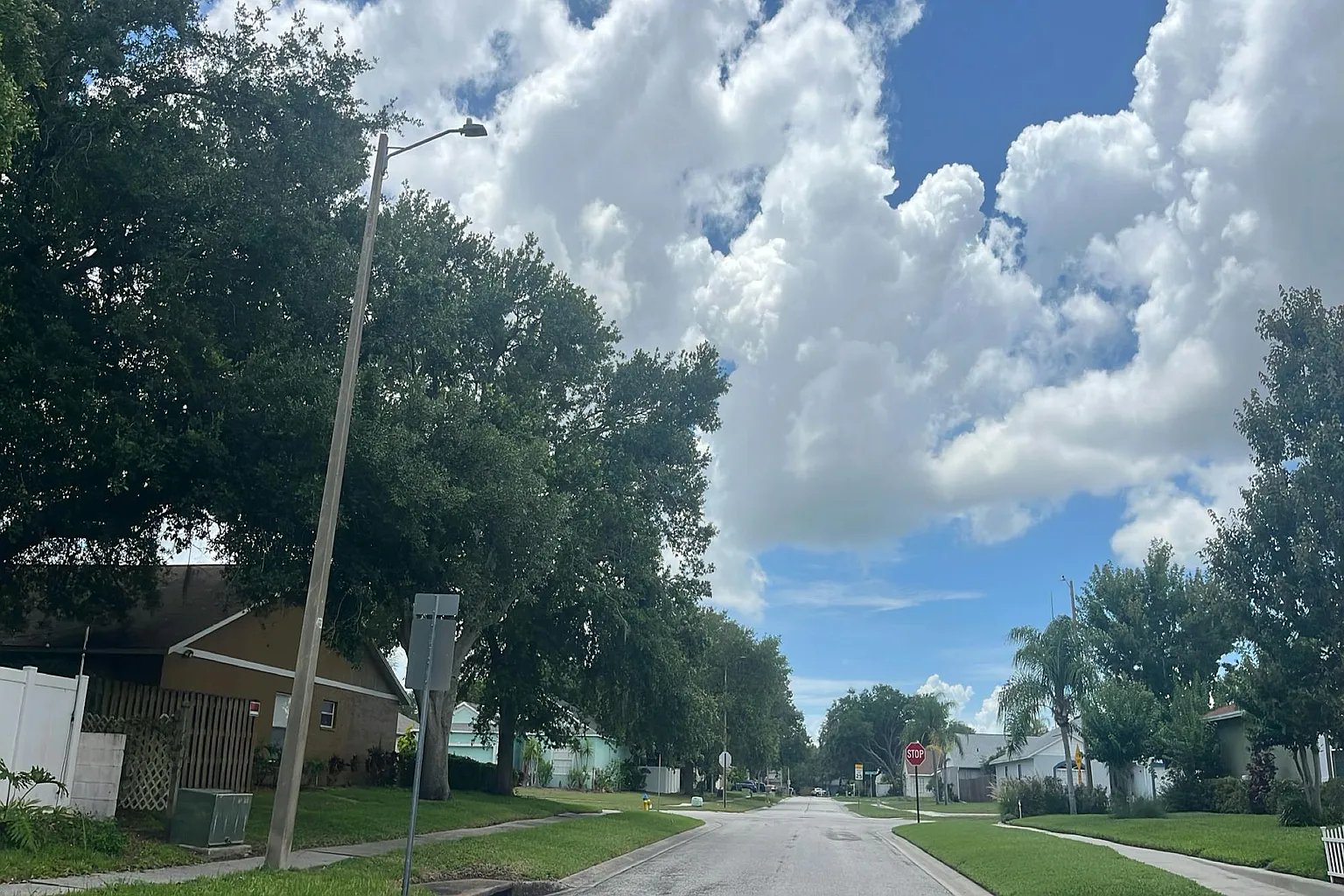 11925 Cedarfield Drive,Riverview,FL,United States preview