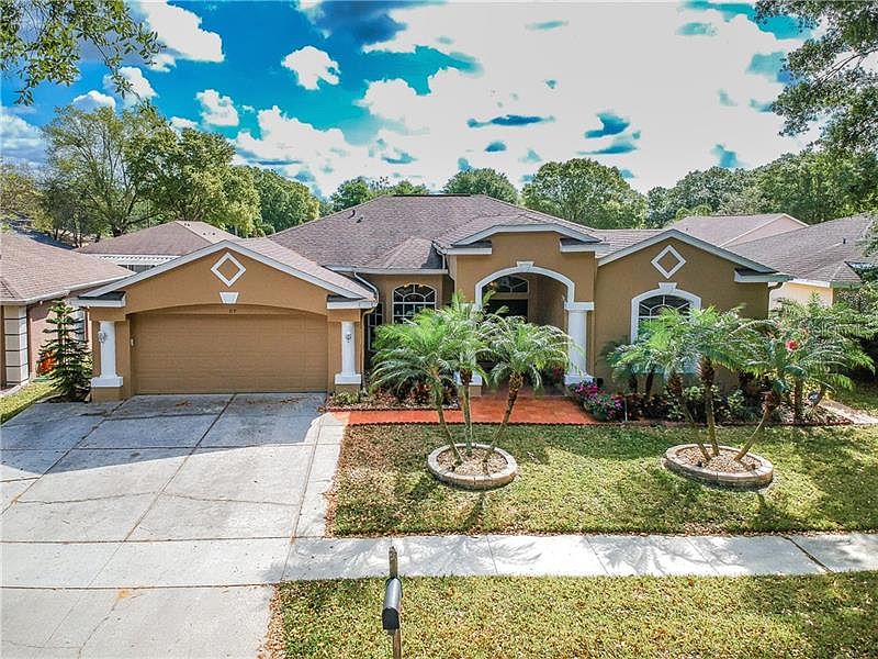 319 Country Vineyard Dr,Valrico,FL,United States preview
