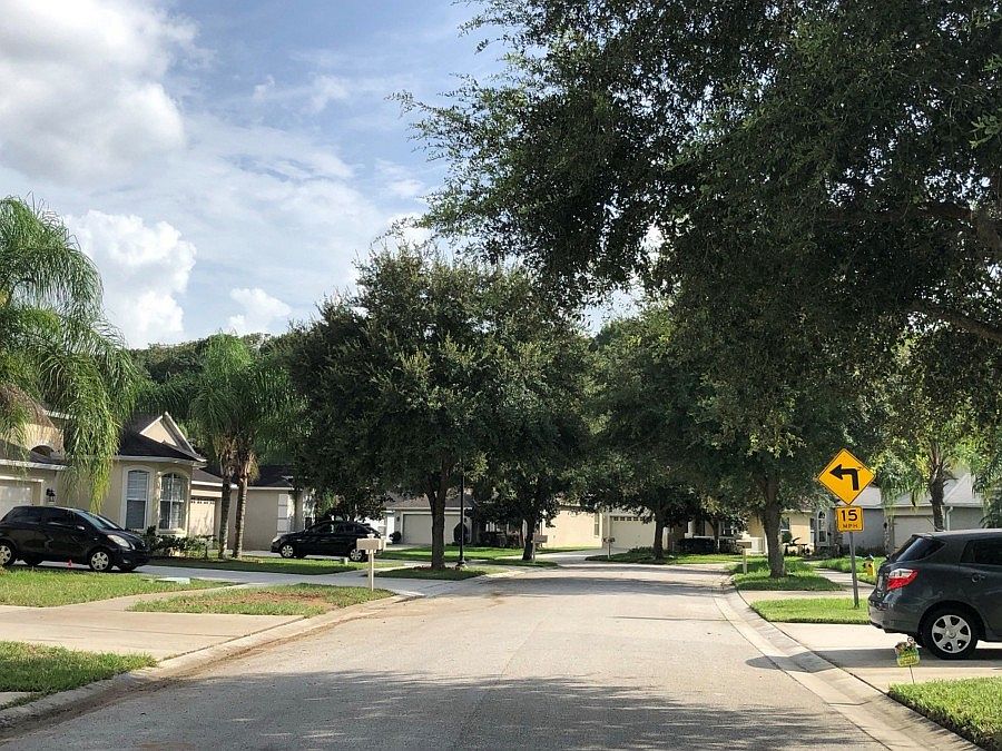 15747 Cedar Elm Terrace,Land O' Lakes,FL,United States preview