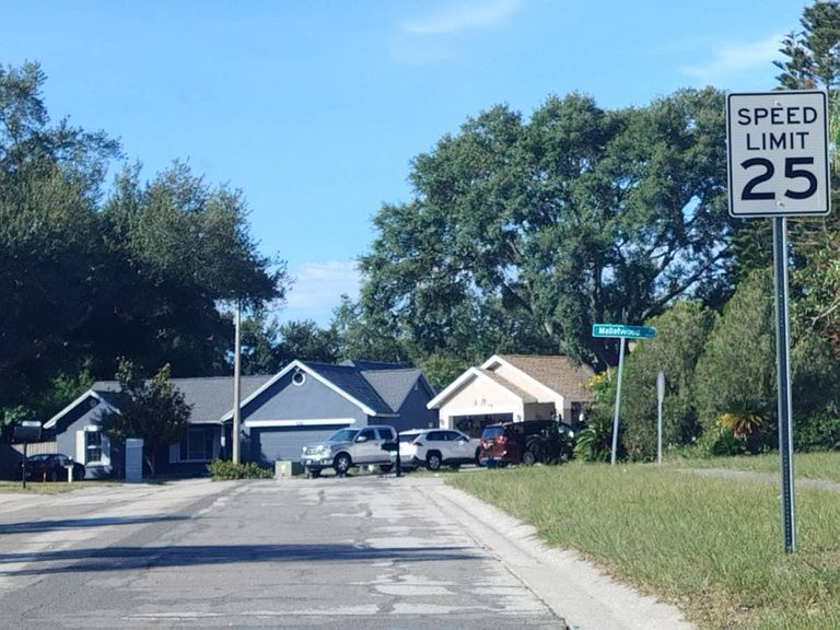 1050 Malletwood Drive,Brandon,FL,United States preview