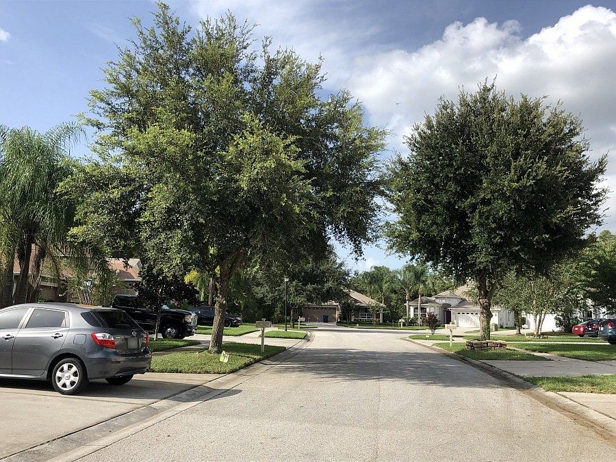 15747 Cedar Elm Terrace,Land O' Lakes,FL,United States preview