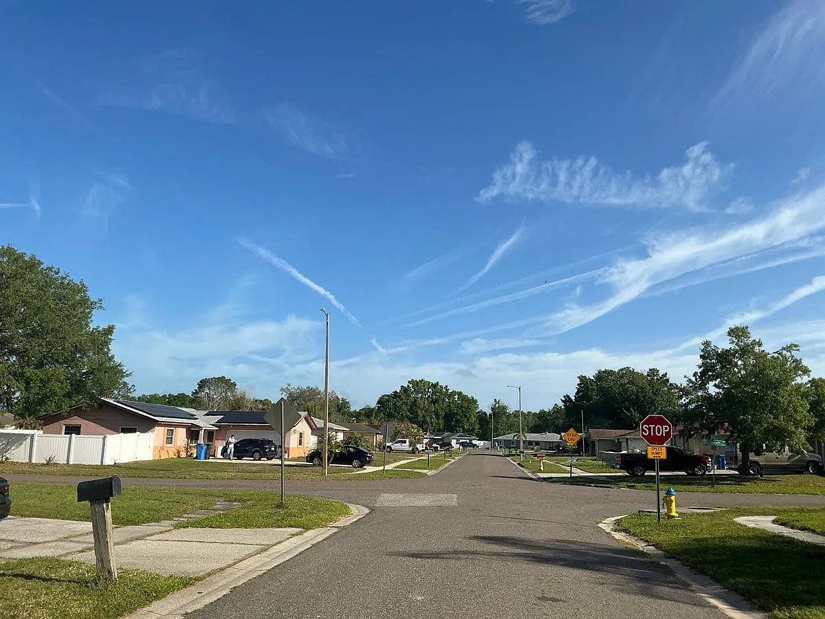 917 Winchester Court,Brandon,FL,United States preview