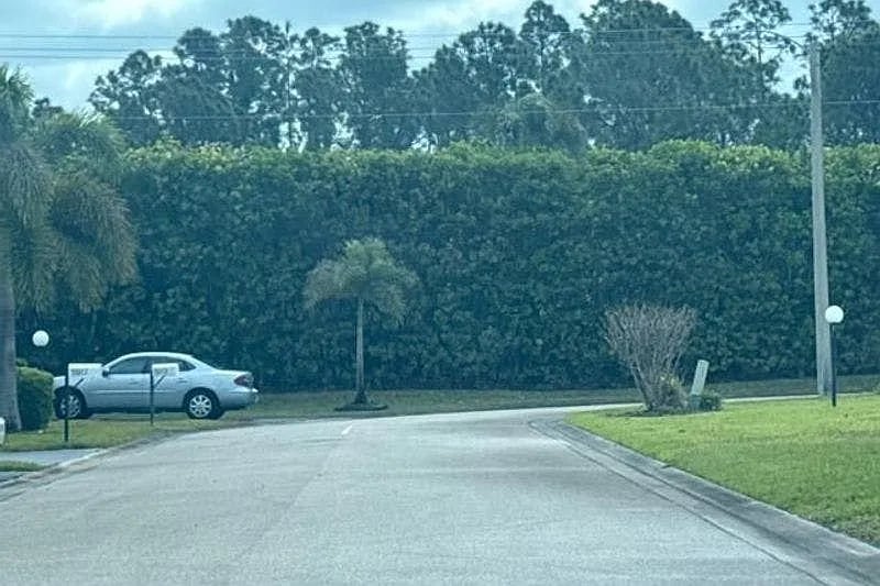 9801 Maplecrest Circle,Lehigh Acres,FL,United States preview
