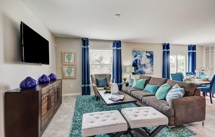 465 Serenity Mill Loop,Ruskin,FL,United States preview