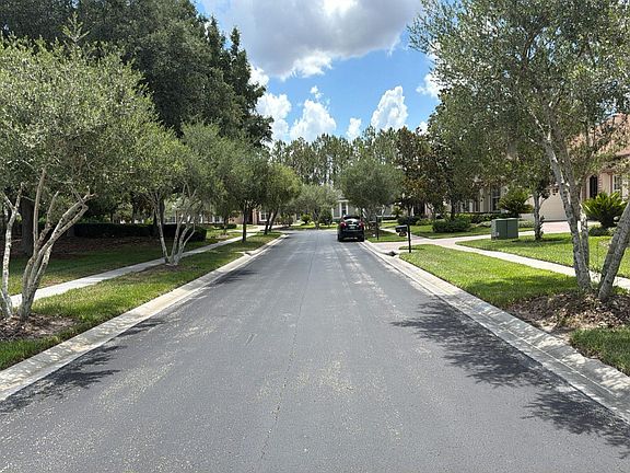 27325 Mistflower Drive,Wesley Chapel,FL,United States preview