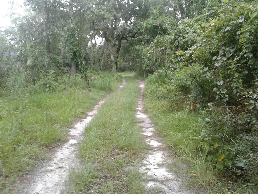 2462 Goldenrod Avenue,Middleburg,FL,United States preview