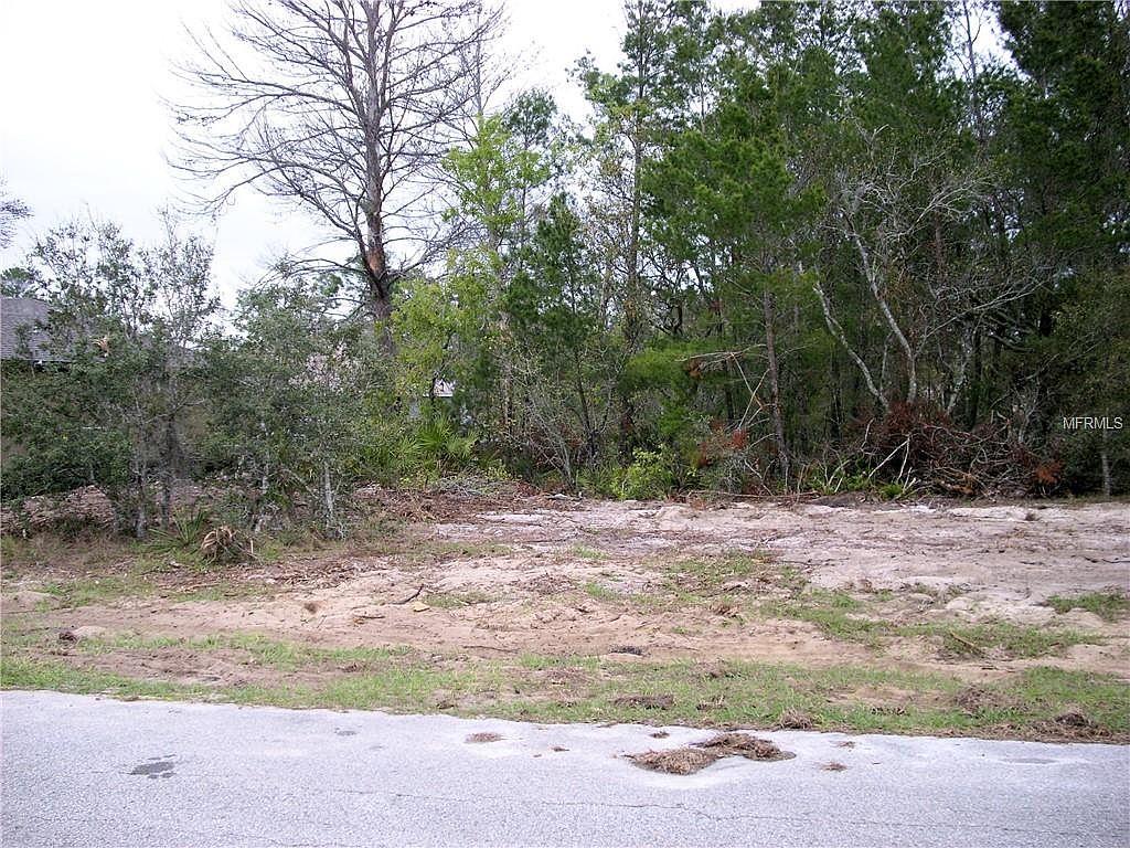 216 Maple Drive,Poinciana,FL,United States preview