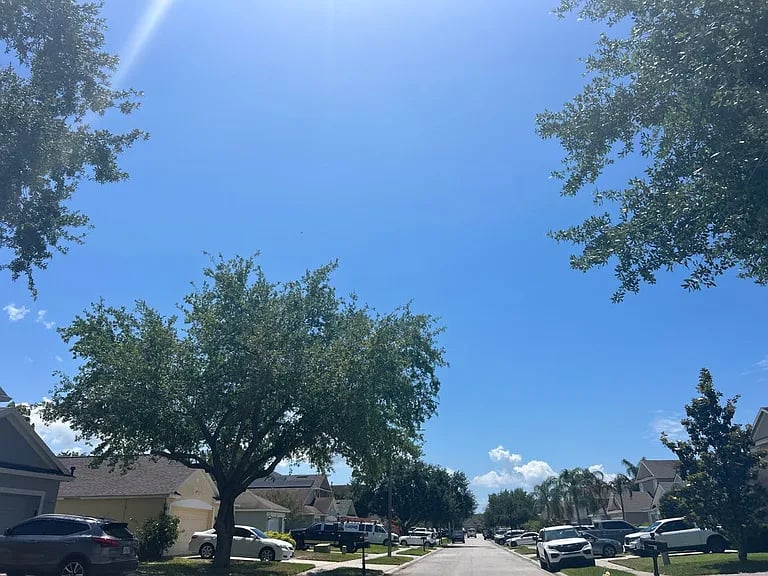 3514 Foray Lane,New Port Richey,FL,United States preview