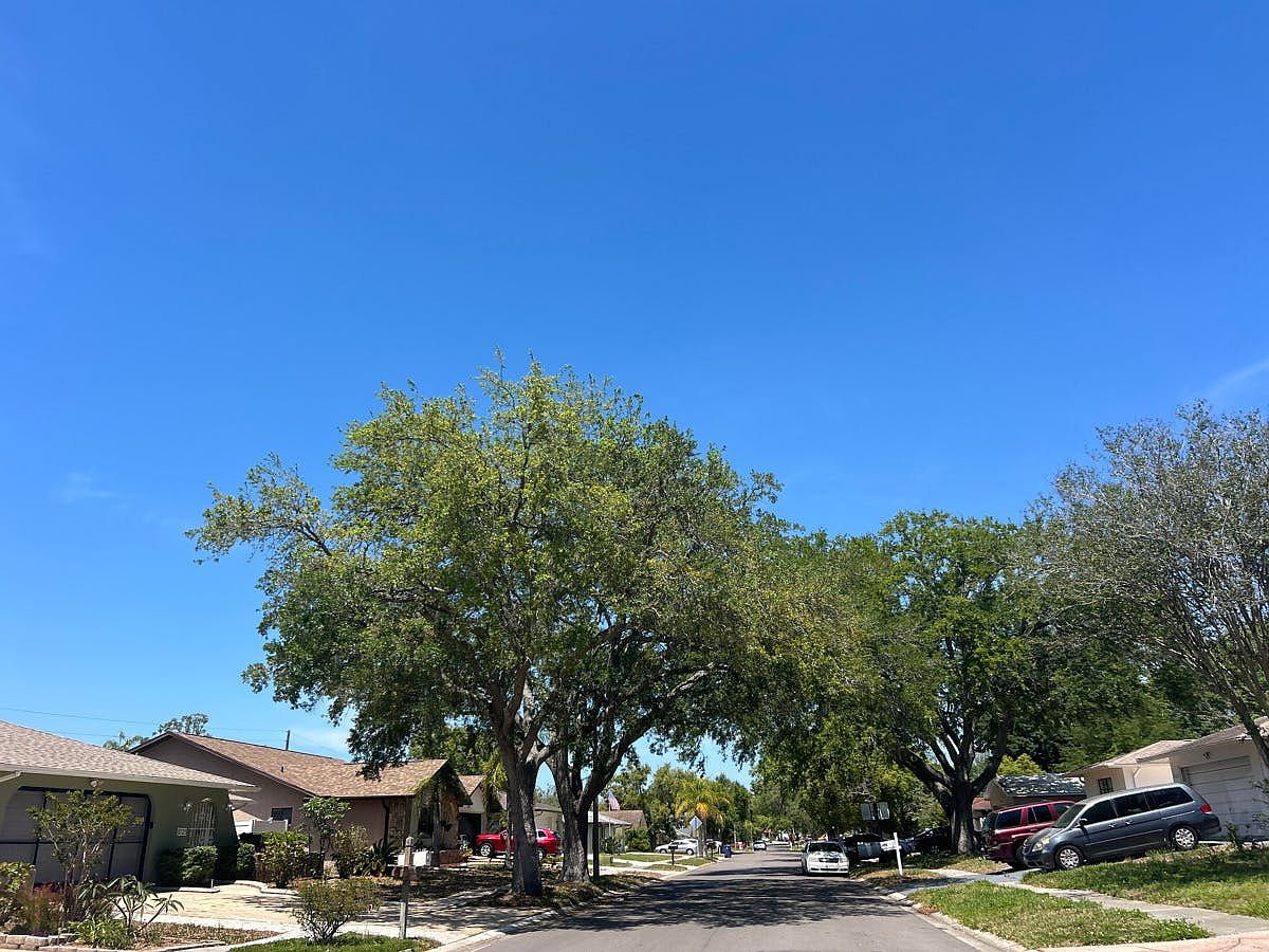 8835 Aruba Lane,Port Richey,FL,United States preview