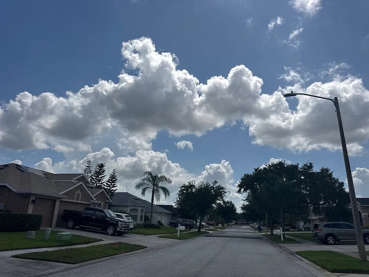 22853 Killington Boulevard,Land O' Lakes,FL,United States preview