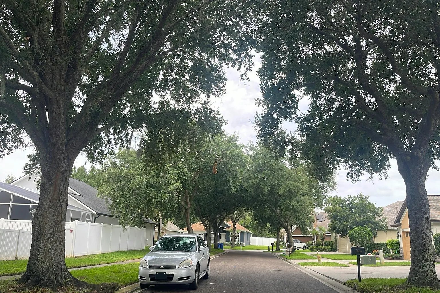 5813 Heronview Crescent Dr,Lithia,FL,United States preview