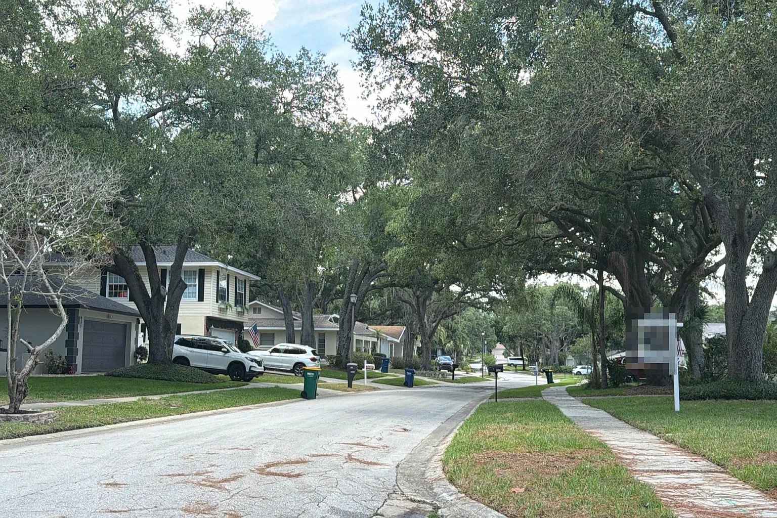 904 Highview Drive,Palm Harbor,FL,USA preview