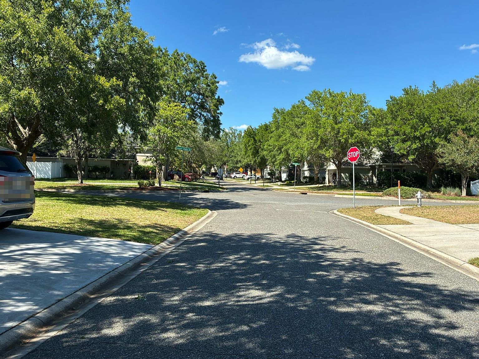 1097 Moosehead Drive,Orange Park,FL,United States preview