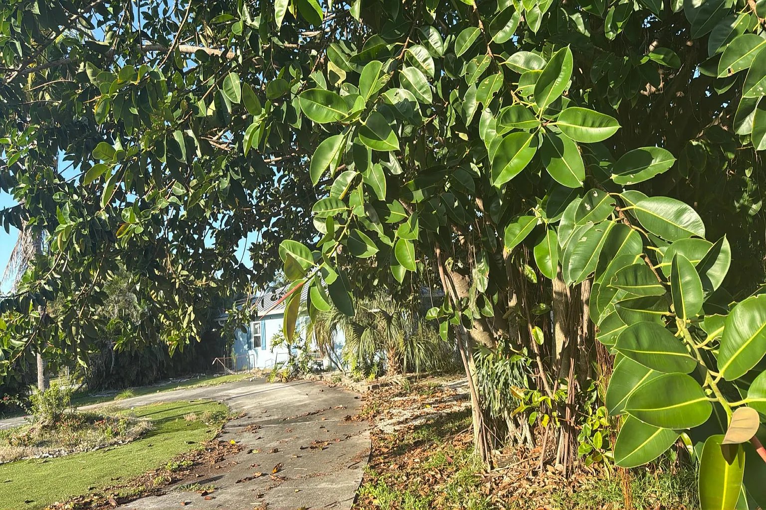 9388 Marand Way,West Palm Beach,FL,United States preview
