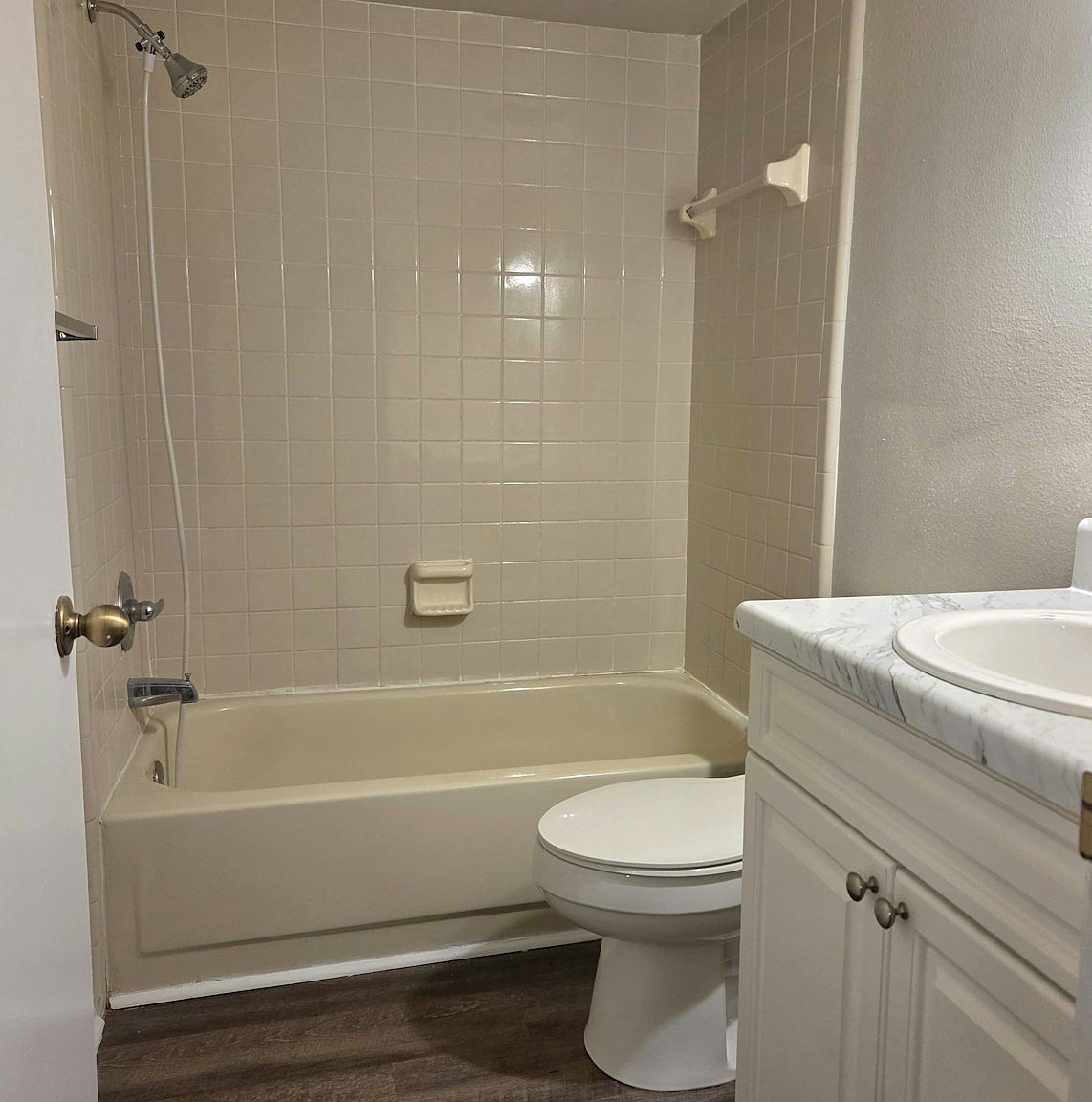 4031 Tumble Wood Trail,Tampa,FL,United States preview